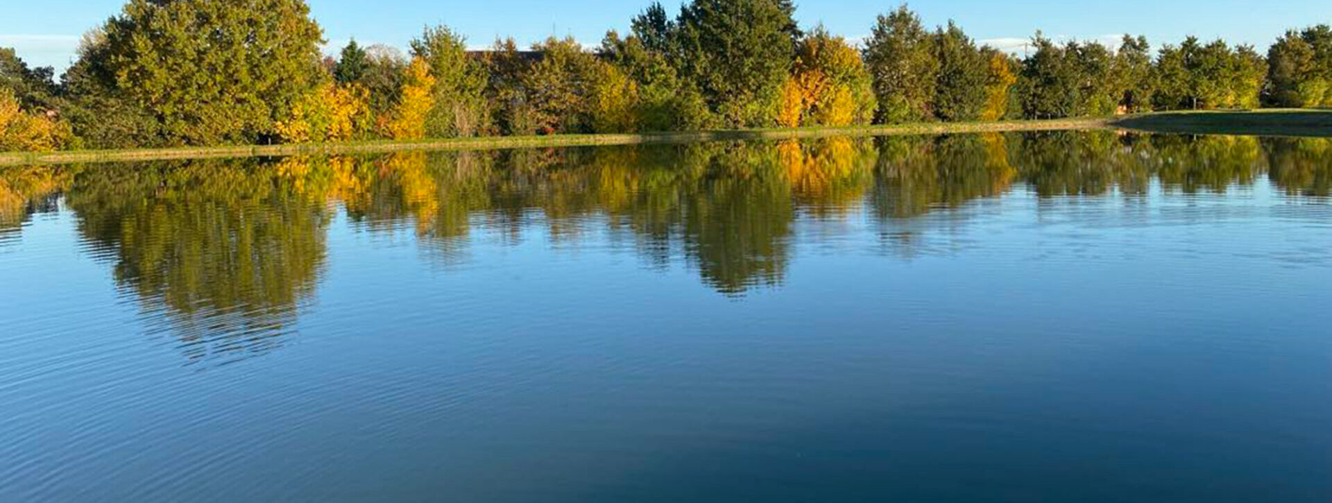 Etangs dans la Dombes