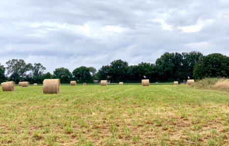 Des champs à Villars-les-Dombes