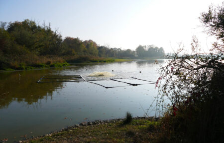 La pêche en Dombes