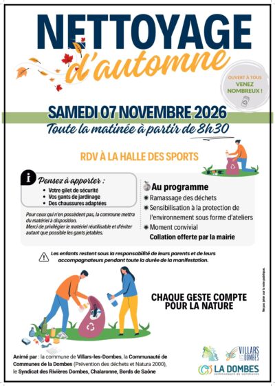 Nettoyage d'automne
